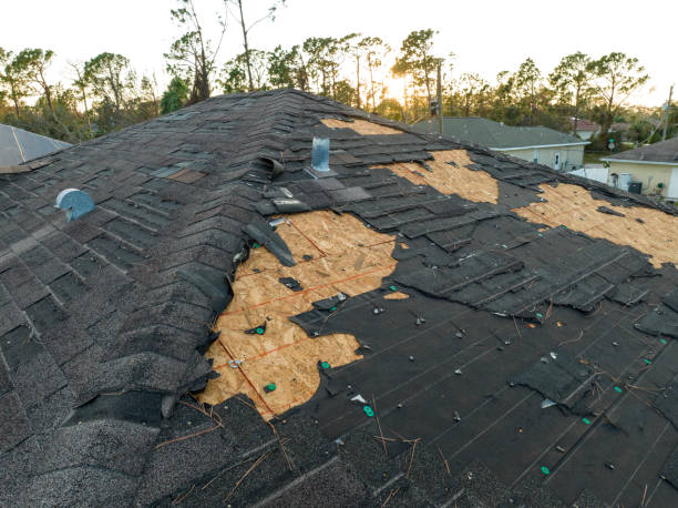 Best Rubber Roofing (EPDM, TPO)  in Henderson, GA